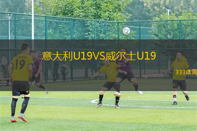 意大利U19VS威爾士U19